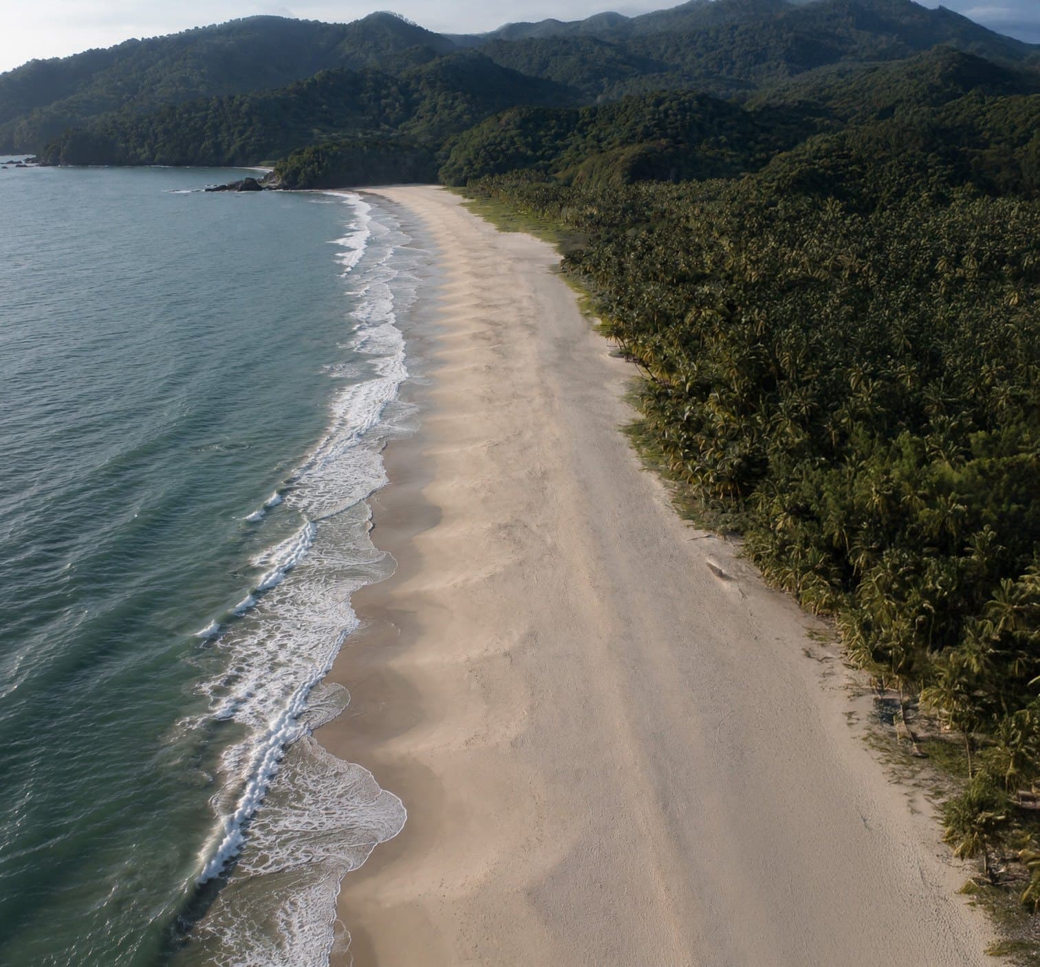 Playa Larga from above, with the coconut grove along the sand