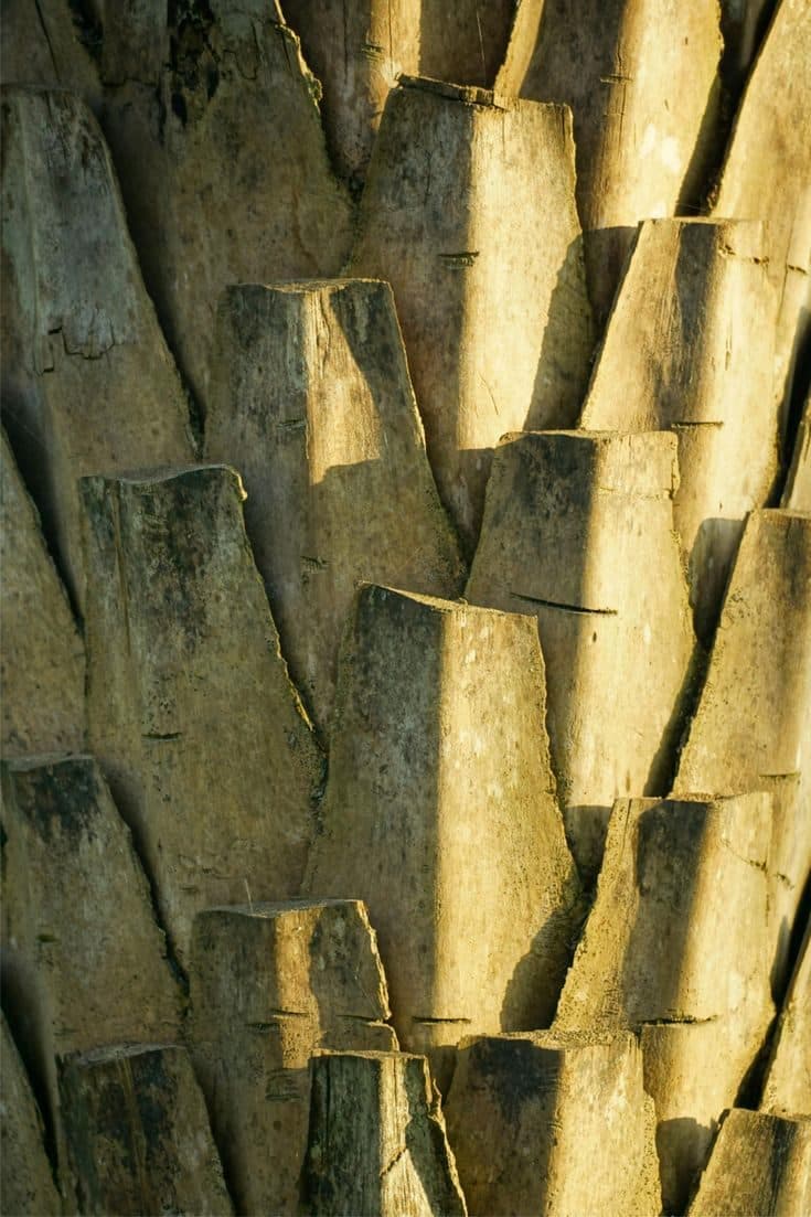 Stone