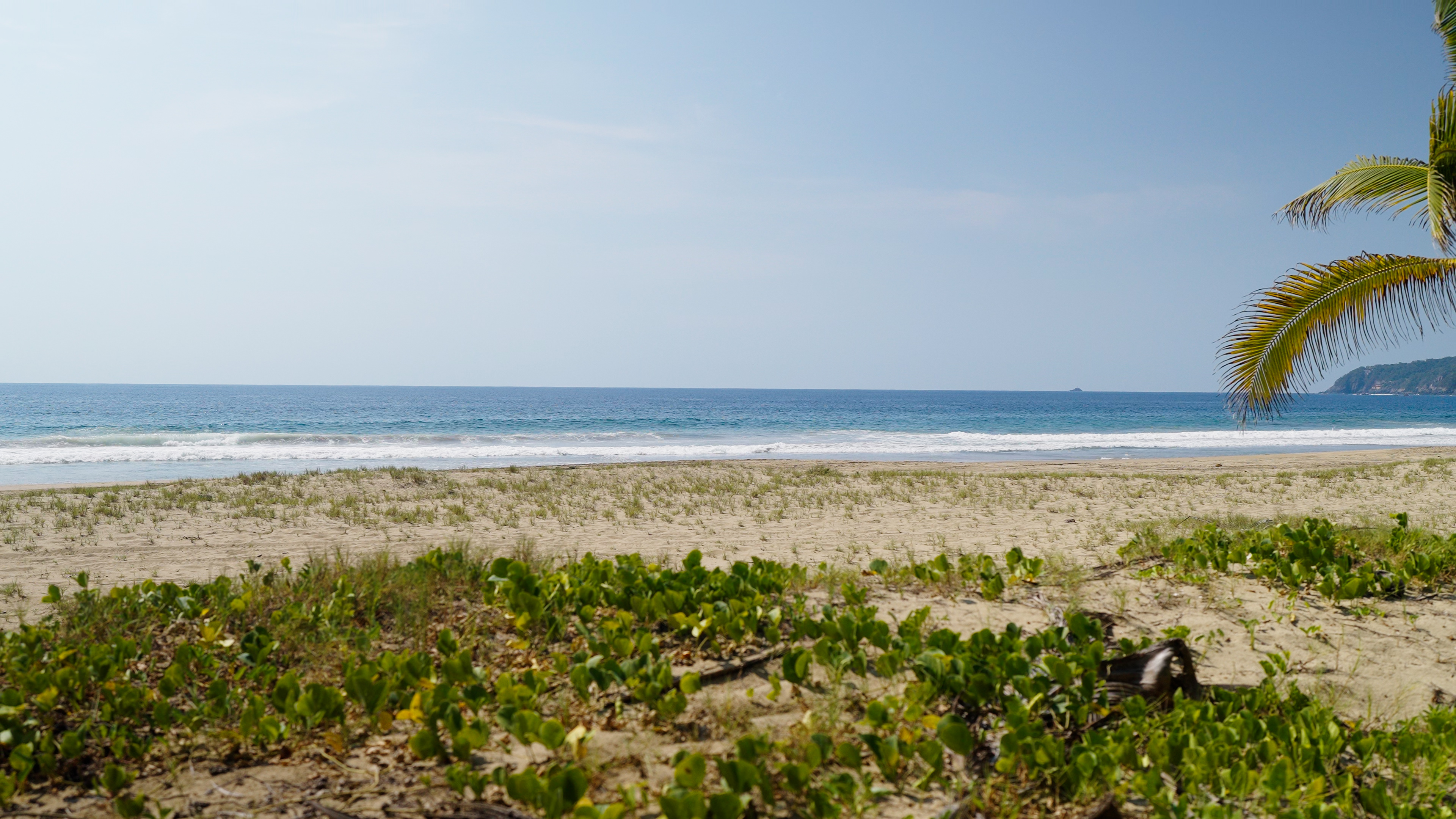 Playa Studios